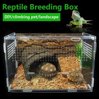 Acrylic Transparent Breeding Box Vivarium Lid Reptile Pet Product Terrarium For S/L Size Reptile Tank Insect Spiders Tortoise
Acrylic Transparent Breeding Box Vivarium Lid Reptile Pet Product Terrarium For S/L Size Reptile Tank Insect Spiders Tortoise