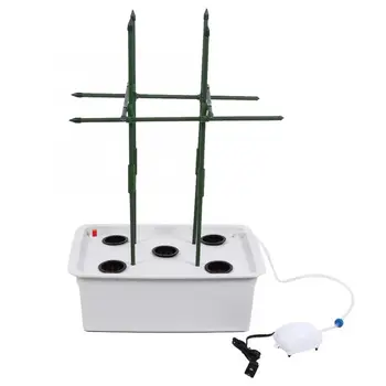 5 Holes Soilless Hydroponic Kit Rack Water Planting System for Tomato Cucumber Hydroponic System Pots to Grow Kit Planting Box
5 Holes Soilless Hydroponic Kit Rack Water Planting System for Tomato Cucumber Hydroponic System Pots to Grow Kit Planting Box