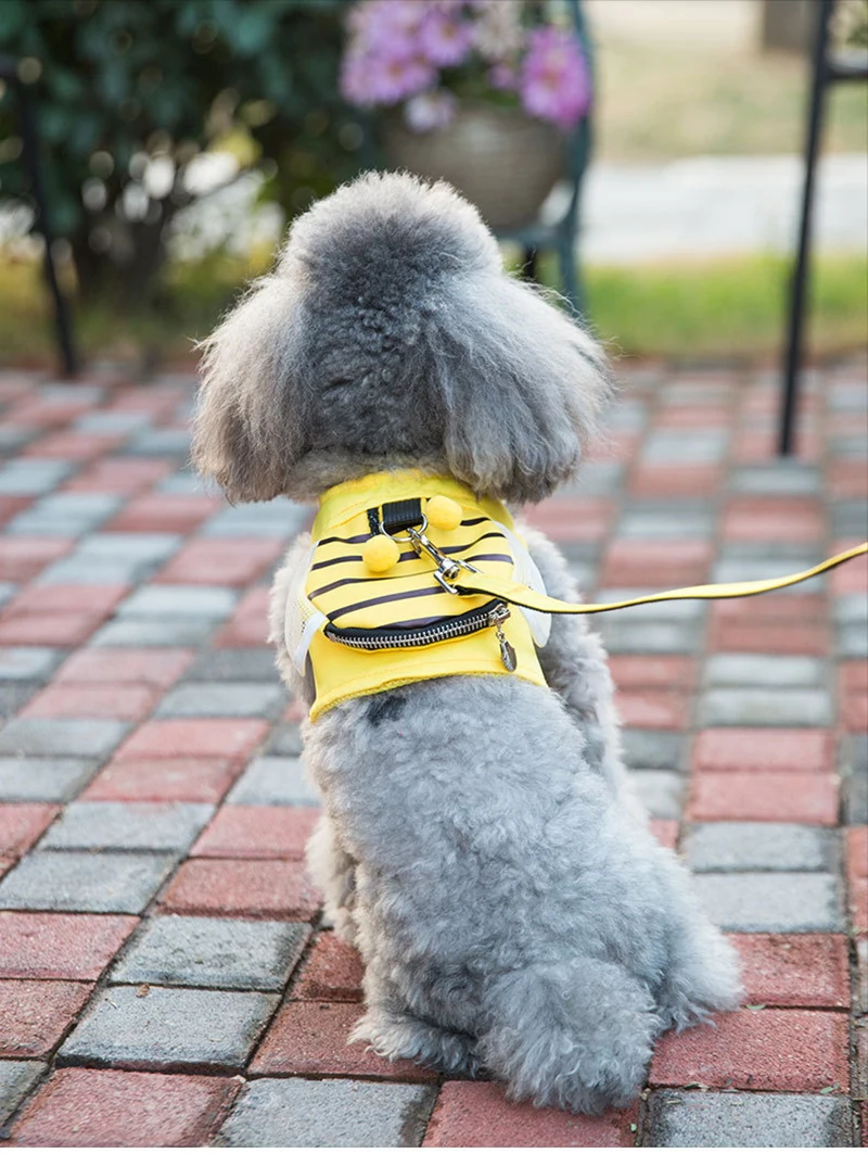 DogsMall-International | Bee Shape Vest For Miniature Poodle
