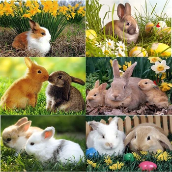 2020 NEW arrival Diamond Embroidery Animal rabbit 5D DIY Full Round Diamond Painting Cross Stitch Diamond Mosaic gift Decor home
2020 NEW arrival Diamond Embroidery Animal rabbit 5D DIY Full Round Diamond Painting Cross Stitch Diamond Mosaic gift Decor home