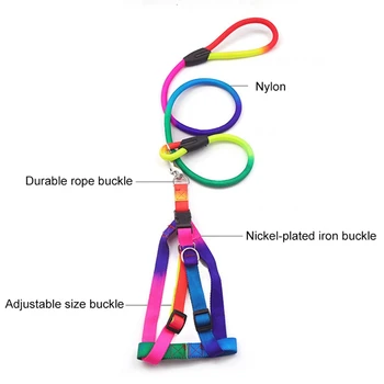 Adjustable Puppy Chest Strap Traction Rope Colorful Dog Harness And Leash Set For Walking Pet Accessories 
Adjustable Puppy Chest Strap Traction Rope Colorful Dog Harness And Leash Set For Walking Pet Accessories