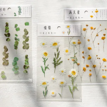 SIXONE Ins Cute Leaf Flower Series Decoration Sticker Translucent Waterproof PET Diary Hand Account Sealing Sticker Stationery
SIXONE Ins Cute Leaf Flower Series Decoration Sticker Translucent Waterproof PET Diary Hand Account Sealing Sticker Stationery