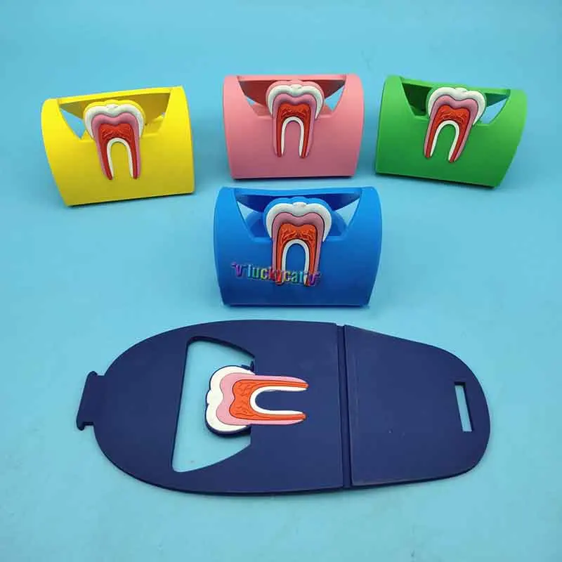 5 шт. Подставка для хранения стоматологической клинике держатель карт зубная