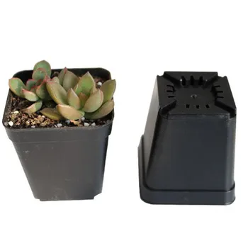 20pcs Mini Plastic Square Flower Pot Grow Box Nursery Home Office Decor Green Artificial Refinement Garden Tools Plant Care 
20pcs Mini Plastic Square Flower Pot Grow Box Nursery Home Office Decor Green Artificial Refinement Garden Tools Plant Care