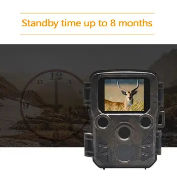 Wildlife Trail Photo Trap Mini Hunting Camera 12MP 1080P Waterproof Video Recorder Cameras for Security Farm Fast Trigger Time
Wildlife Trail Photo Trap Mini Hunting Camera 12MP 1080P Waterproof Video Recorder Cameras for Security Farm Fast Trigger Time