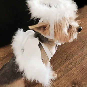 Pet Costume Accessories Set Dog Cat Feather Angel Halo Wing Halloween Birthday Christmas Gifts Decor Photography Props 
Pet Costume Accessories Set Dog Cat Feather Angel Halo Wing Halloween Birthday Christmas Gifts Decor Photography Props