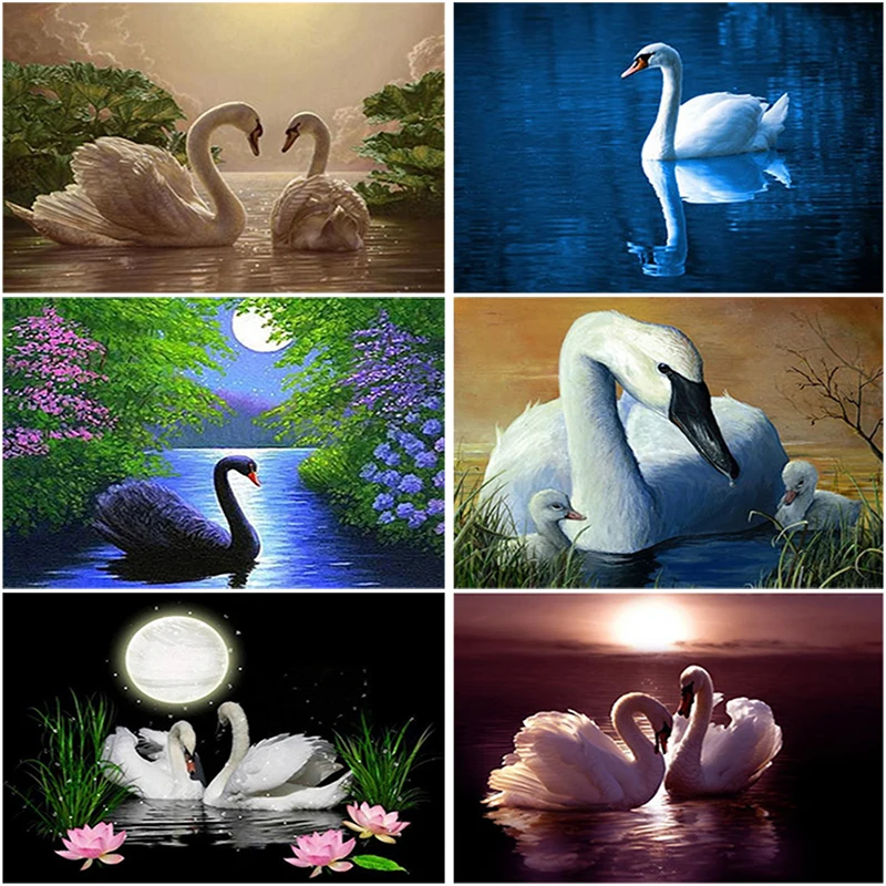 DIY 5D Diamond Painting Swan Landscape Full Round Diamond Embroidery Animal Mosaic Rhinestones Cross Stitch Picture Home Decor
DIY 5D Diamond Painting Swan Landscape Full Round Diamond Embroidery Animal Mosaic Rhinestones Cross Stitch Picture Home Decor