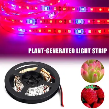 Grow Light LED Strip Indoor Vegetables Energy Saving Light Strip LED Light Strip Greenhouse Plant High Brightness Eco-Friendly
Grow Light LED Strip Indoor Vegetables Energy Saving Light Strip LED Light Strip Greenhouse Plant High Brightness Eco-Friendly