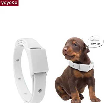 Cat & Dog Collar 4 Months To Prevent Fleas And Lice Adjustable Collar Pest Control Rubber Necklace Pet Supplies Dog Accessories
Cat & Dog Collar 4 Months To Prevent Fleas And Lice Adjustable Collar Pest Control Rubber Necklace Pet Supplies Dog Accessories