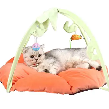 1Pc Cat Pumpkin House Tent with Hanging Toys Pet Sofa Bed Sleeping Bed Cat Cage Tent Exercise Fitness Bed for Cat (Pink)
1Pc Cat Pumpkin House Tent with Hanging Toys Pet Sofa Bed Sleeping Bed Cat Cage Tent Exercise Fitness Bed for Cat (Pink)
