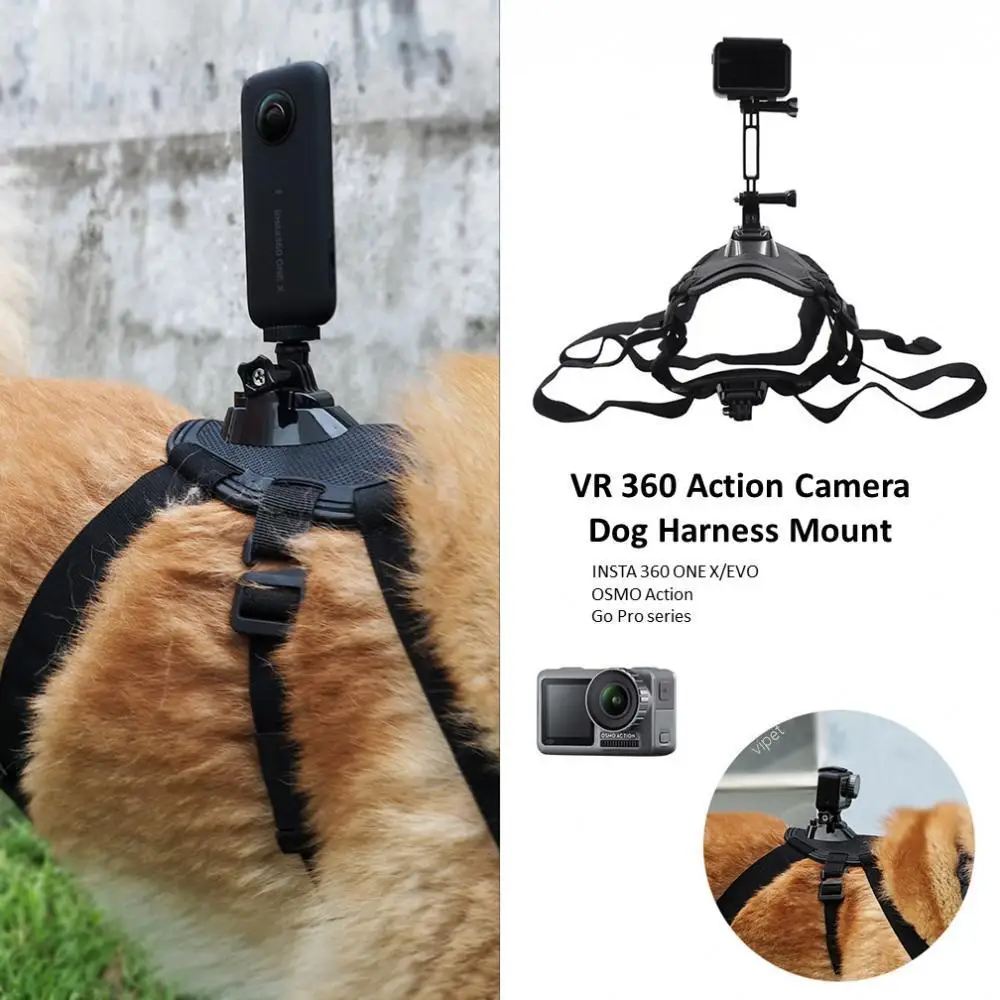 Dog Action Camera Harness Shoot Fetch Insta360 One X Gopro Mount Accessory GoPro Accessories Action Camera Vr Camera Gimbal
Dog Action Camera Harness Shoot Fetch Insta360 One X Gopro Mount Accessory GoPro Accessories Action Camera Vr Camera Gimbal