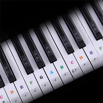Electronic Keyboard Piano Sticker For Beginners Piano Practice Piano Sticker Transparent Piano Keyboard Sticker Removable
Electronic Keyboard Piano Sticker For Beginners Piano Practice Piano Sticker Transparent Piano Keyboard Sticker Removable