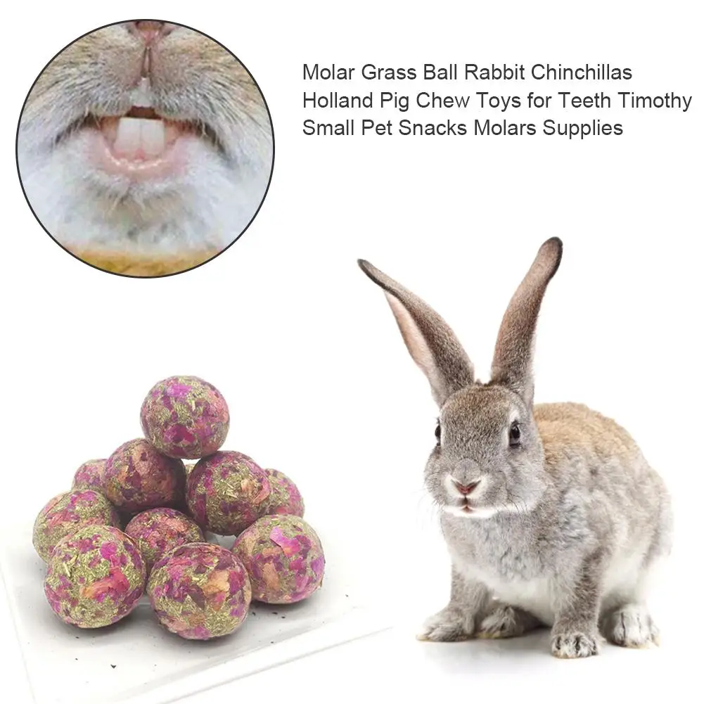 Фото Molar Grass Ball Rabbit Chinchillas Holland Pig Chew Toys For Teeth Timothy Small Pet Snacks Molars Supplies | Дом и сад
