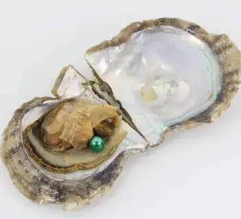 Bulk sale!!! Akoya oyster/freshwater oyster/red shell oytser singles with 1 colored pearls 6-8mm inside 50pcs/100pcs 
Bulk sale!!! Akoya oyster/freshwater oyster/red shell oytser singles with 1 colored pearls 6-8mm inside 50pcs/100pcs