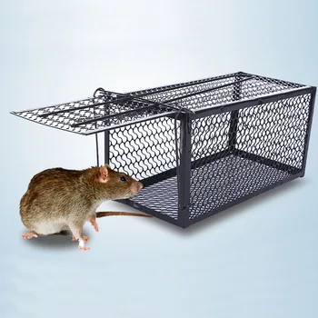 No Poison Metal Reusable Mouse Trap Rat Cage Rodent Killer Mice Catcher Humane Live Pest Control Home Supplies Critter Catcher
No Poison Metal Reusable Mouse Trap Rat Cage Rodent Killer Mice Catcher Humane Live Pest Control Home Supplies Critter Catcher