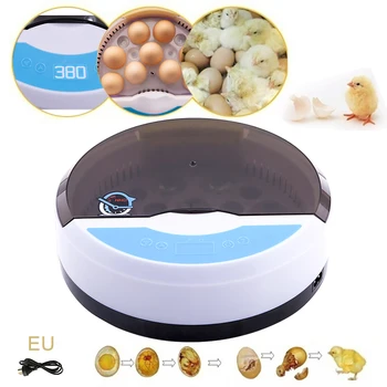 Fully Automatic Incubator Farm Brooder Hatchery Machine Child 9 Egg LED Temperature Humidity Controller Chicken Bird Quail
Fully Automatic Incubator Farm Brooder Hatchery Machine Child 9 Egg LED Temperature Humidity Controller Chicken Bird Quail