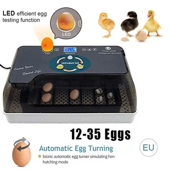 Farm Hatchery Incubator Brooder Machine 12 Eggs Incubator Turner Automatic Digital Farm Duck Chicken Hatcher LED Light
Farm Hatchery Incubator Brooder Machine 12 Eggs Incubator Turner Automatic Digital Farm Duck Chicken Hatcher LED Light