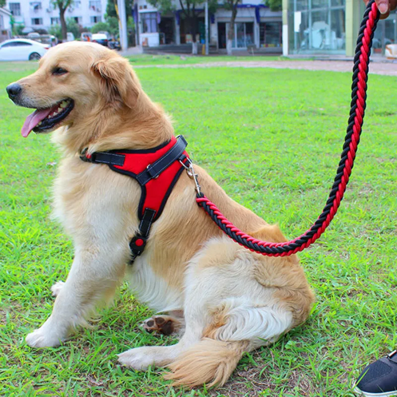 High Quality Reflective Dog Leash and Harness Sets for Small Medium Large Dog Chest Strap Teddy Golden Walking Dog Supplies
High Quality Reflective Dog Leash and Harness Sets for Small Medium Large Dog Chest Strap Teddy Golden Walking Dog Supplies