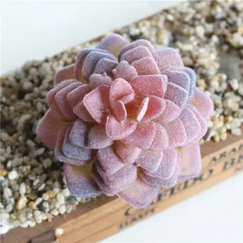 Artificial Plant Artificial Succulents Craft Floristry Decoration Plastic Plants Alocasia for Creative Home Decoration
Artificial Plant Artificial Succulents Craft Floristry Decoration Plastic Plants Alocasia for Creative Home Decoration