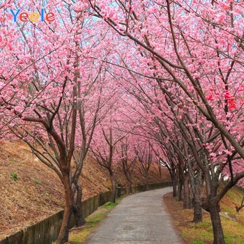 Spring Flower Tree Road Park Garden Baby Portrait Nature Scenery Backdrop Photography Background For Photo Studio Photophone
Spring Flower Tree Road Park Garden Baby Portrait Nature Scenery Backdrop Photography Background For Photo Studio Photophone