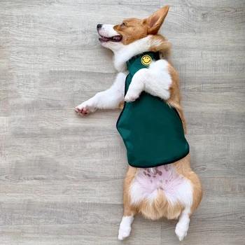 Protect Corgi Tummy Waterproof Apron Pet Dog Clothes for Small Short Leg Dogs Pets Clothing French Bulldog Pug Costume S-L
Protect Corgi Tummy Waterproof Apron Pet Dog Clothes for Small Short Leg Dogs Pets Clothing French Bulldog Pug Costume S-L