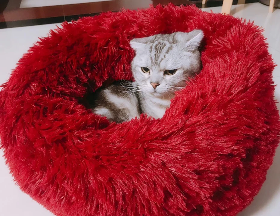 Round Plush Cat Bed House Soft Long Plush Cat Bed Portable Pet Dog Bed For Dogs Cats Nest Winter Warm Sleeping Bed Puppy Mat
Round Plush Cat Bed House Soft Long Plush Cat Bed Portable Pet Dog Bed For Dogs Cats Nest Winter Warm Sleeping Bed Puppy Mat