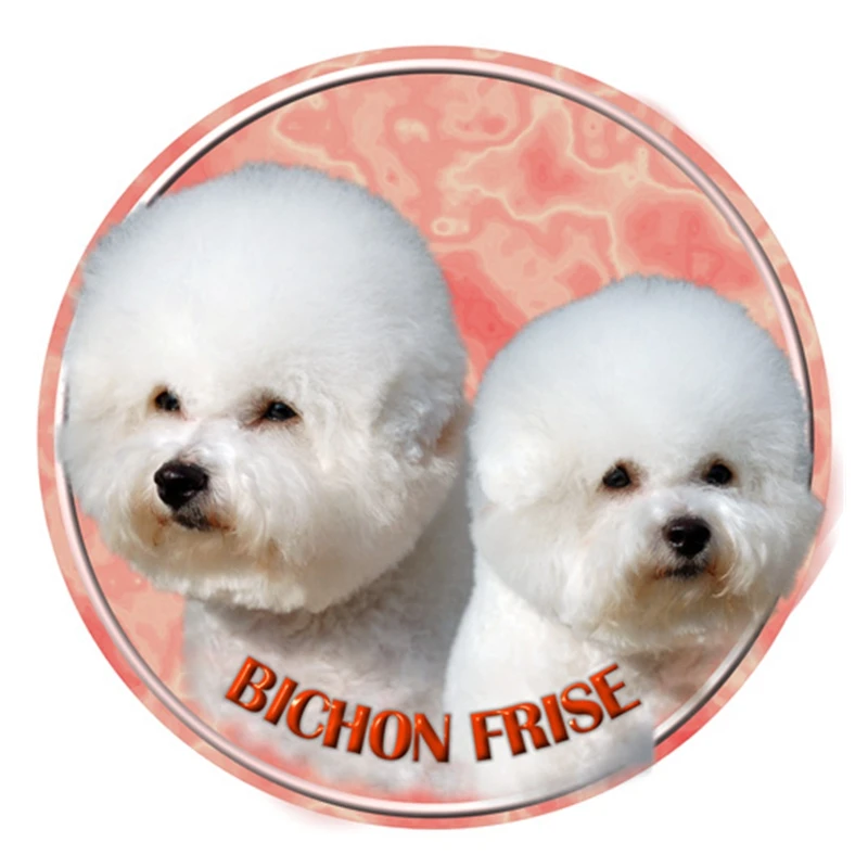 S40312# Various Sizes PVC Decal Bichon a Poil Frise Car Sticker Waterproof For Bumper Rear Window Laptop Refrigerator
S40312# Various Sizes PVC Decal Bichon a Poil Frise Car Sticker Waterproof For Bumper Rear Window Laptop Refrigerator