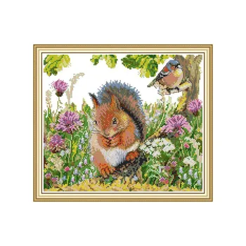 Squirrel and Bird Cross-Stitch-Kits 14CT 11CT Animal Patterns Canvas DIY Crafts Handmade Needlework Embroidery Fabric Home Decor
Squirrel and Bird Cross-Stitch-Kits 14CT 11CT Animal Patterns Canvas DIY Crafts Handmade Needlework Embroidery Fabric Home Decor