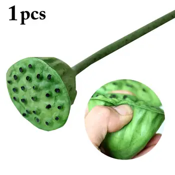Artificial Plant Lotus Seedpod Creative Decorative Fake Plant Faux Greenery
Artificial Plant Lotus Seedpod Creative Decorative Fake Plant Faux Greenery
