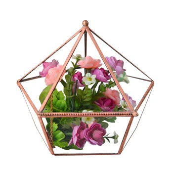 Flower Box Transparent Geometric Storage Desktop Florist Gift Jewelry Display Home Decor Glass Micro Landscape Holder Brass
Flower Box Transparent Geometric Storage Desktop Florist Gift Jewelry Display Home Decor Glass Micro Landscape Holder Brass