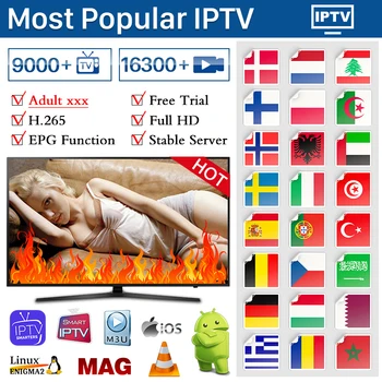 OTT IPTV XXX Arabic Spain Netherlands Dutch Sweden IPTV Adult German IPTV M3u Android Arabic Belgium Brazil IP TV No App Include
OTT IPTV XXX Arabic Spain Netherlands Dutch Sweden IPTV Adult German IPTV M3u Android Arabic Belgium Brazil IP TV No App Include