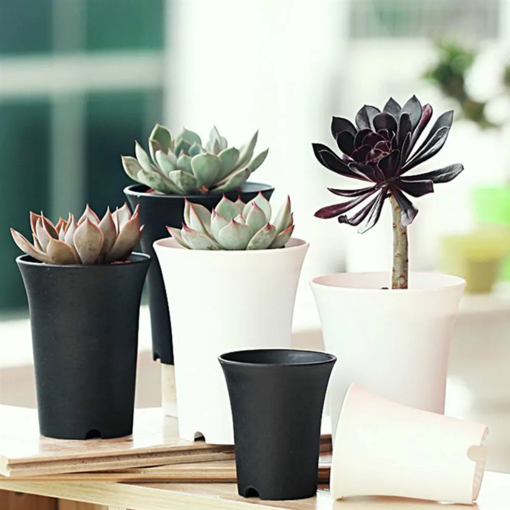 10pcs/set Succulents Flower Pot Plant Pot Planter Plastic Pots Round For Home Office Or Garden Decoration
10pcs/set Succulents Flower Pot Plant Pot Planter Plastic Pots Round For Home Office Or Garden Decoration