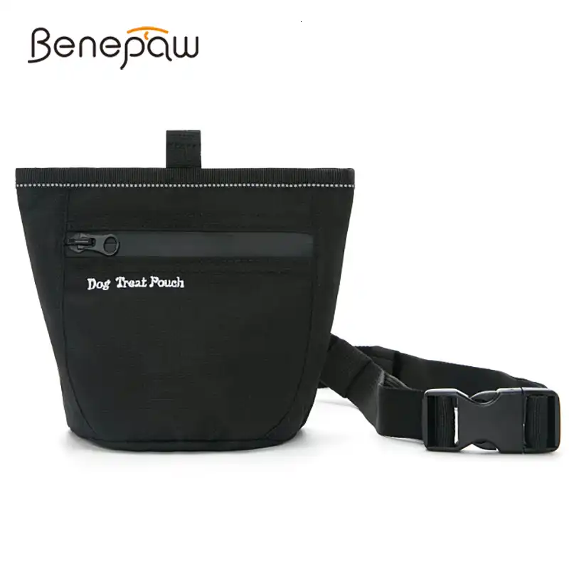dog treat bag with magnetic closure