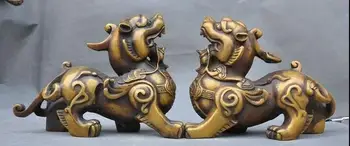 8"Old Chinese Bronze PiXiu Phylactery Guardian Beast Brave troops Statue Pair
8"Old Chinese Bronze PiXiu Phylactery Guardian Beast Brave troops Statue Pair