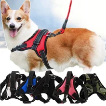 Pet Dog and Cat Adjustable Harness with Leash Reflective and Breathable for Small and Large Dog Harness Vest Pet Supplies
Pet Dog and Cat Adjustable Harness with Leash Reflective and Breathable for Small and Large Dog Harness Vest Pet Supplies