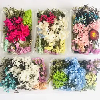 1 Box Real Dried Flower Dry Plants Epoxy Resin Mold Filling DIY Pendant Necklace Craft For Jewelry Making Accessories
1 Box Real Dried Flower Dry Plants Epoxy Resin Mold Filling DIY Pendant Necklace Craft For Jewelry Making Accessories