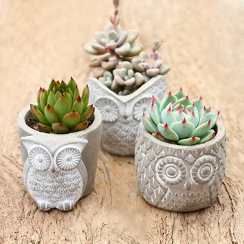 Mini Flowerpot Concrete Molds For Succulent Plants Owl Shape Flower Pot Cement Mold Plaster Craft Mould
Mini Flowerpot Concrete Molds For Succulent Plants Owl Shape Flower Pot Cement Mold Plaster Craft Mould