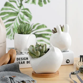 Ceramic Animal Succulent Flowerpot Set With Bamboo Support Home Desktop Decoration Rabbit Flower Pot Balcony Decor Garden Pots
Ceramic Animal Succulent Flowerpot Set With Bamboo Support Home Desktop Decoration Rabbit Flower Pot Balcony Decor Garden Pots