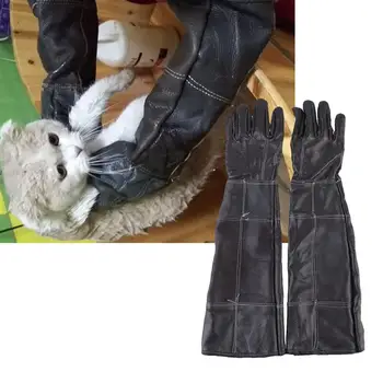 Cattlehide Waterproof Gloves Pet Anti-Bite Gloves Cat Anti-scratch Hand Gloves for Pet Shop (Random Color)
Cattlehide Waterproof Gloves Pet Anti-Bite Gloves Cat Anti-scratch Hand Gloves for Pet Shop (Random Color)