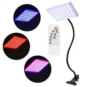 Red Blue Light Beauty Lamp Photon Light Therapy Machine Anti-Aging Face Body Skin Care Machine Equipment Face Care Beauty Tool
Red Blue Light Beauty Lamp Photon Light Therapy Machine Anti-Aging Face Body Skin Care Machine Equipment Face Care Beauty Tool