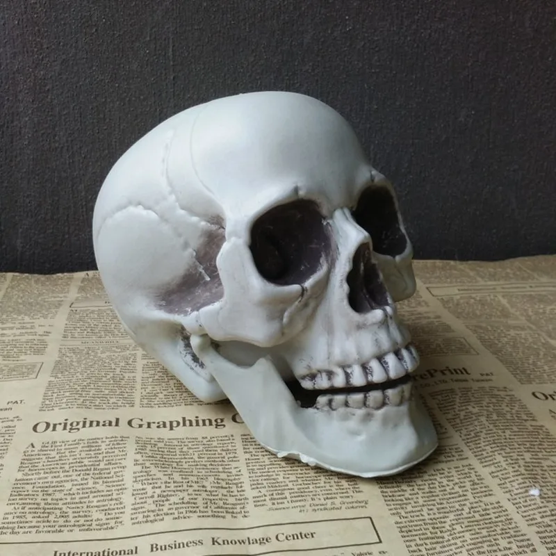 1 Pcs Halloween Artificial Skull Head Model Horror Prop Plastic Skull Head DIY Decorations Bars Ornament
1 Pcs Halloween Artificial Skull Head Model Horror Prop Plastic Skull Head DIY Decorations Bars Ornament