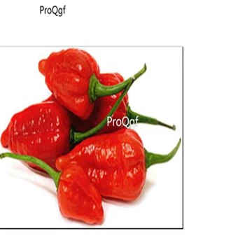 Ngryise 3000Pcs BHUT JOLOKİA
Ngryise 3000Pcs BHUT JOLOKİA