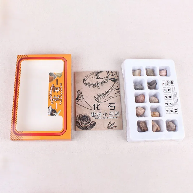 XOC3051 (5)