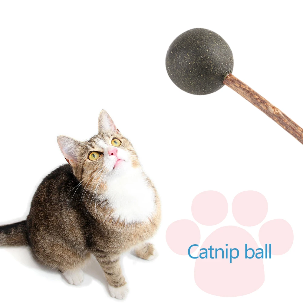 Pet Teeth Cleaning Mint Catnip Toys Chewing Candy Ball Cat Tease Stick Durability Funny Bite Squeak Toys