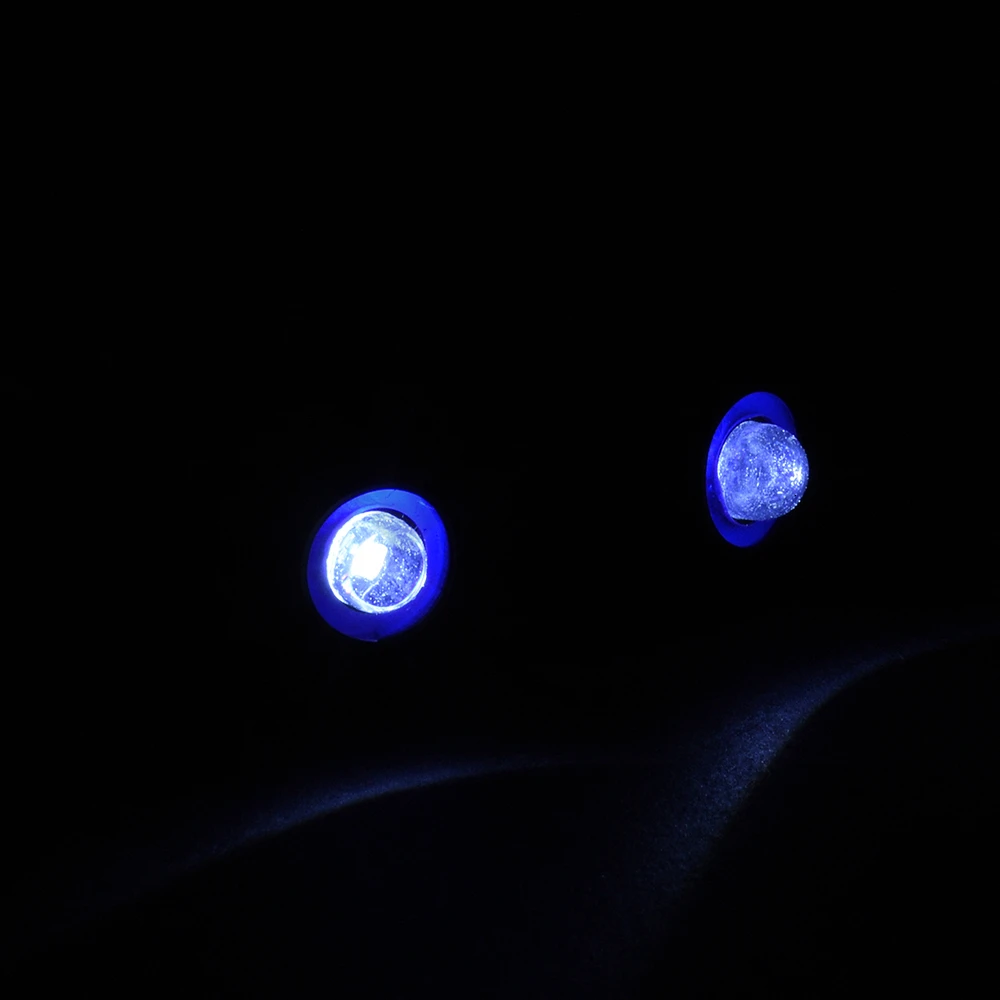 DSC_1510.JPG