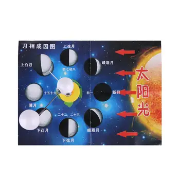 Kids DIY Moon Phase Cause Developing Science Experiment Astronomy Training School Learning Education Science Toys New
Kids DIY Moon Phase Cause Developing Science Experiment Astronomy Training School Learning Education Science Toys New