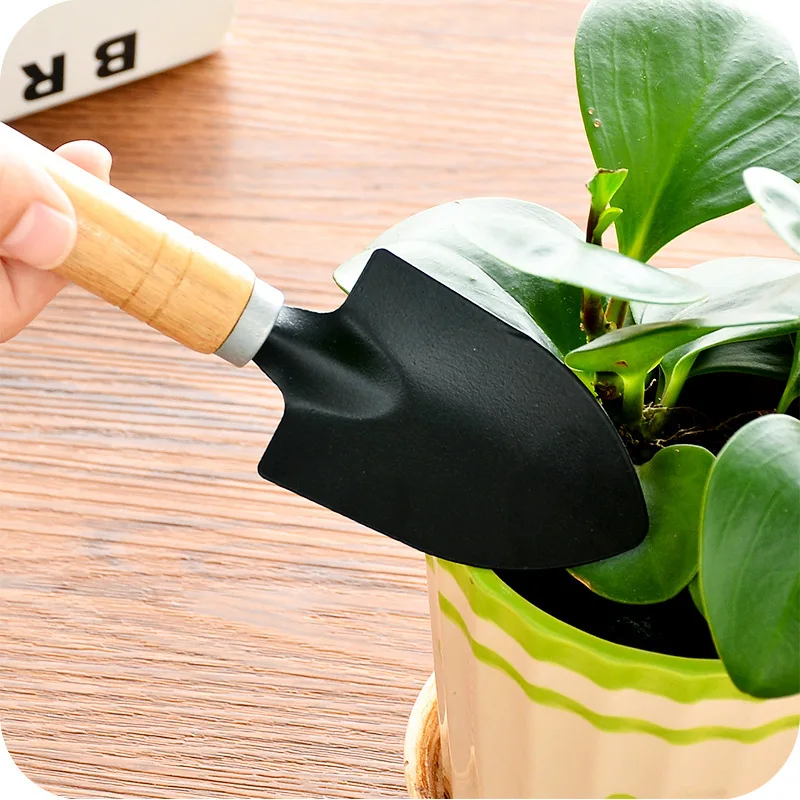 Planting flowers and gardening tools planting fleshy tool set mini three-piece household shovel
Planting flowers and gardening tools planting fleshy tool set mini three-piece household shovel