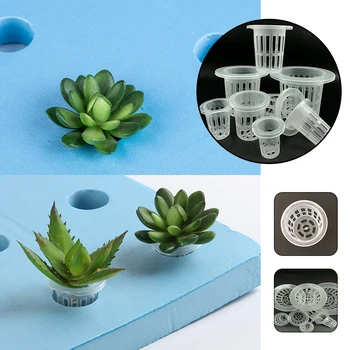 10cs Cultivation Planting BasketTranslucent Color Vegetable Basket Hydroponic Vegetable Soilless Cultivation Garden Supplies 
10cs Cultivation Planting BasketTranslucent Color Vegetable Basket Hydroponic Vegetable Soilless Cultivation Garden Supplies