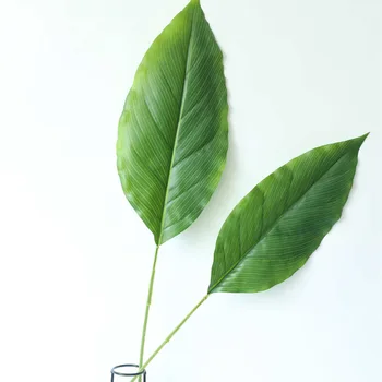 10Pcs Artificial Latex White Palm Leaf Fake Plants Christmas Tree Decor Home Crafts Plants Wall Wedding Backdrop Green Leaves
10Pcs Artificial Latex White Palm Leaf Fake Plants Christmas Tree Decor Home Crafts Plants Wall Wedding Backdrop Green Leaves