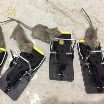 10Pcs Mouse Trap Professional Rat Trap Effective Mouse Traps Snap Trap Rodent Control Mouse Catcher K802
10Pcs Mouse Trap Professional Rat Trap Effective Mouse Traps Snap Trap Rodent Control Mouse Catcher K802